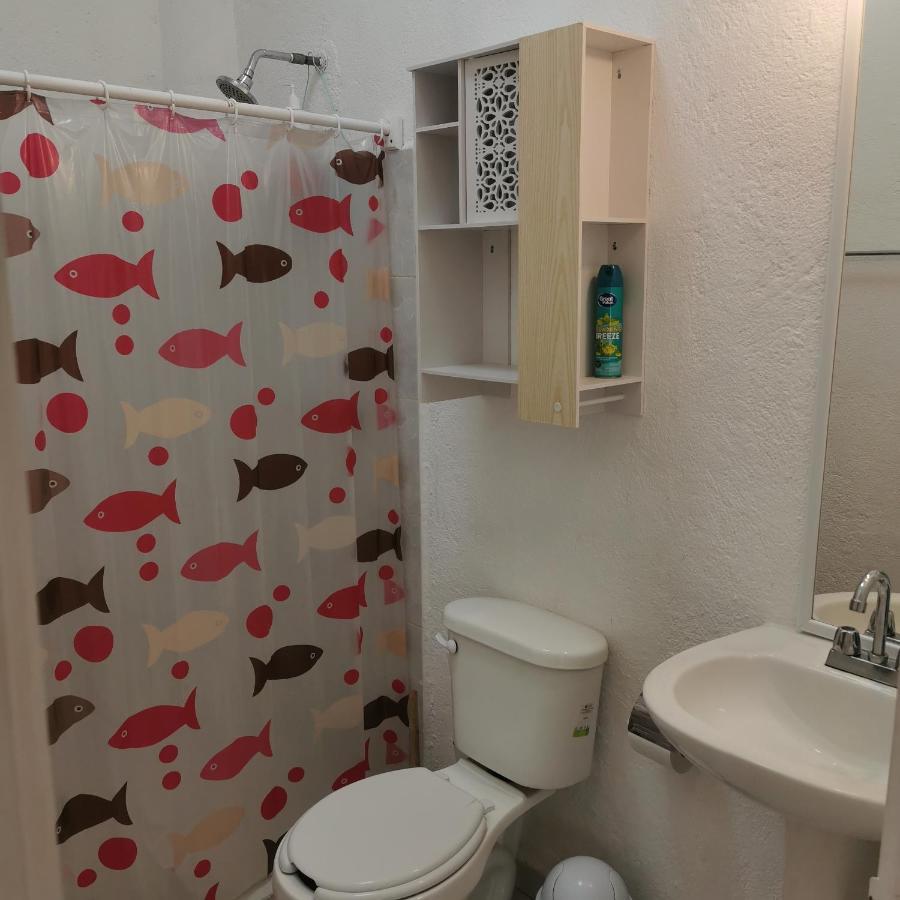 1 Bedroom Apt With Ac , Tv , Wi-Fi Near Dt And Beach Zihuatanejo Exteriér fotografie